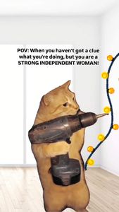 Instagram post by @rakishricha