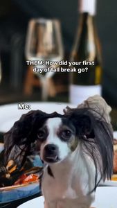 Instagram post by @rakishricha