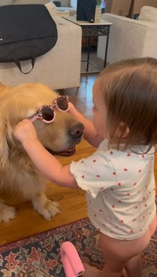 Instagram post by @winstonthegoodboygolden