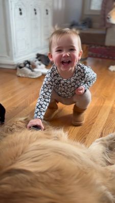 Instagram post by @winstonthegoodboygolden