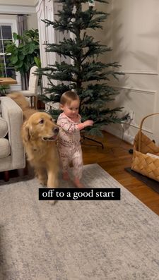 Instagram post by @winstonthegoodboygolden