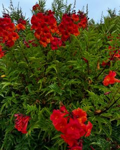 Instagram post by @askdrho