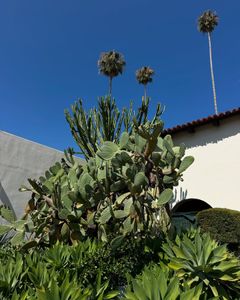 Instagram post by @askdrho