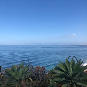 Instagram post by @askdrho