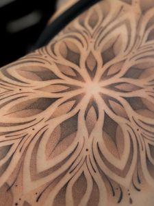 Instagram post by @alextreze13