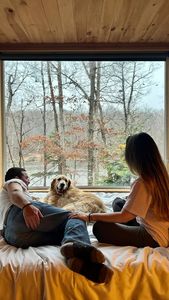 Instagram post by @the.wanderingfoxes