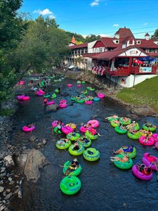 Instagram post by @the.wanderingfoxes