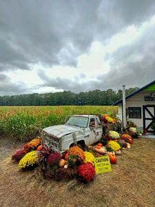 Instagram post by @the.wanderingfoxes