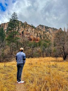 Instagram post by @the.wanderingfoxes