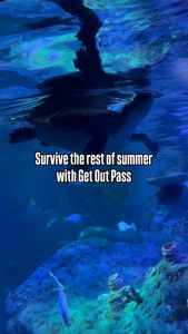 Instagram post by @texasmamamusts