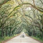 @discoverthecarolinas Instagram Profile