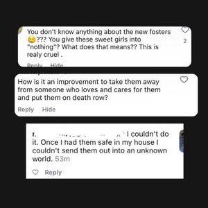 Instagram post by @erins_fosters