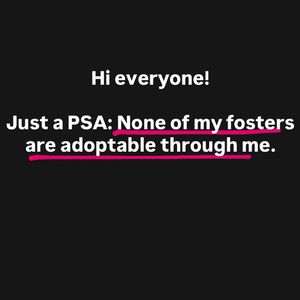 Instagram post by @erins_fosters