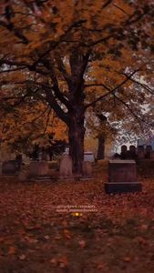 Instagram post by @witchvoid