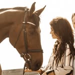 @warmbloodsandwine Instagram Profile