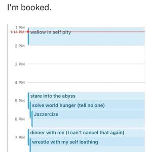 Instagram post by @theuniversalgrinch