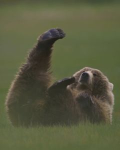 Instagram post by @lucamartinez.fl