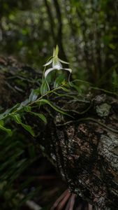 Instagram post by @lucamartinez.fl