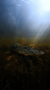 Instagram post by @lucamartinez.fl