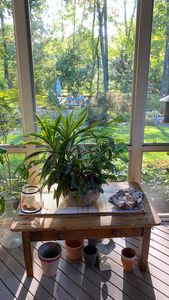 Instagram post by @ahousewren