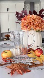 Instagram post by @alexanderreneedesign