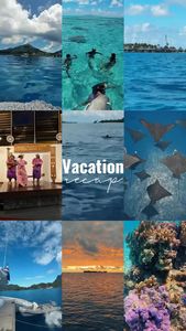 Instagram post by @alexanderreneedesign