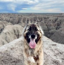 Instagram post by @sailing_sunday