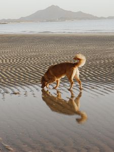 Instagram post by @sparklinglala