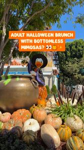 Instagram post by @sparklinglala