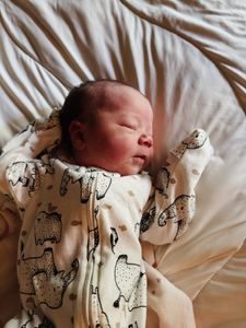 Instagram post by @sarahfultzinteriors