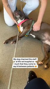 Instagram post by @maggiepotamus