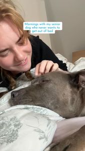 Instagram post by @maggiepotamus