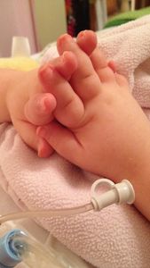 Instagram post by @noel_naturally