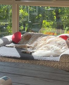 Instagram post by @buddypup13