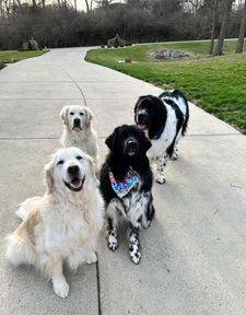 Instagram post by @buddypup13